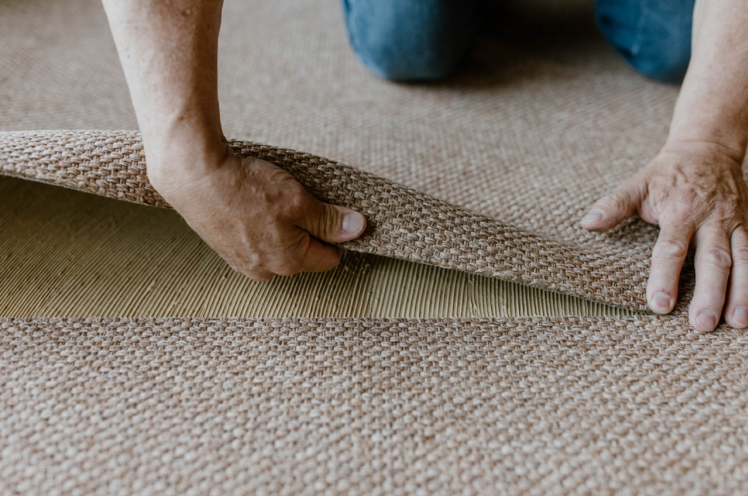 Sisal Carpets: The Perfect Blend of Natural Elegance and Enduring Strength